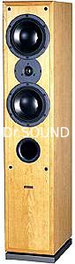 Dynaudio contour 2024 t2 5